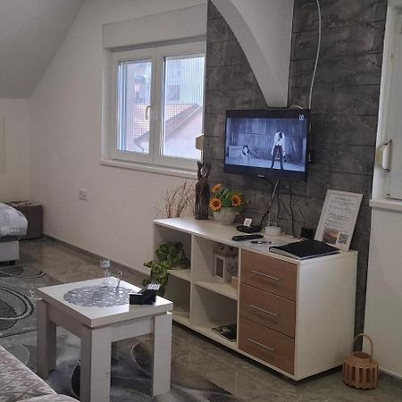 Apartments Ivanovic Center City باغينا باستا المظهر الخارجي الصورة