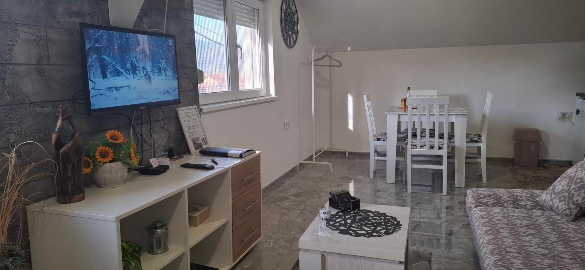 Apartments Ivanovic Center City باغينا باستا المظهر الخارجي الصورة