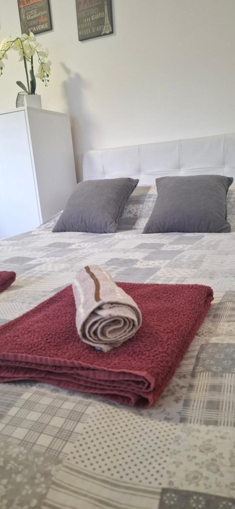 Apartments Ivanovic Center City باغينا باستا المظهر الخارجي الصورة