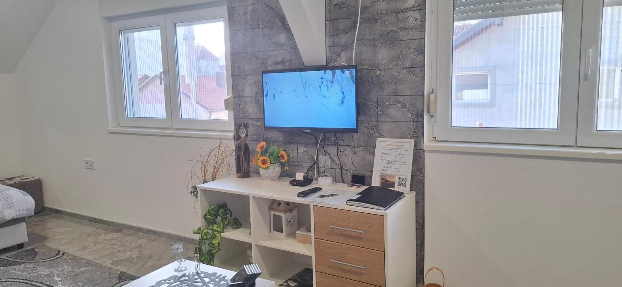 Apartments Ivanovic Center City باغينا باستا المظهر الخارجي الصورة